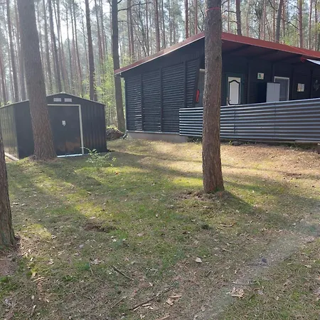 Im Wald Mecklenburgische Seenplatte Wesenberg