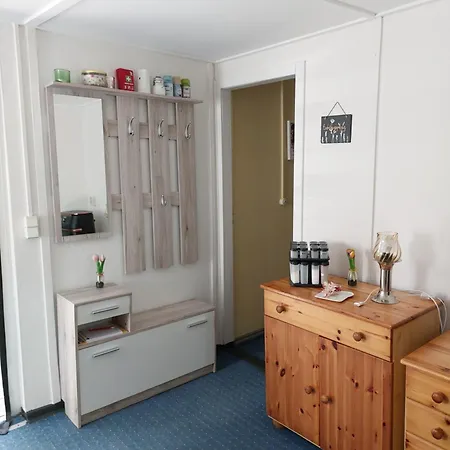 Im Wald Mecklenburgische Seenplatte *