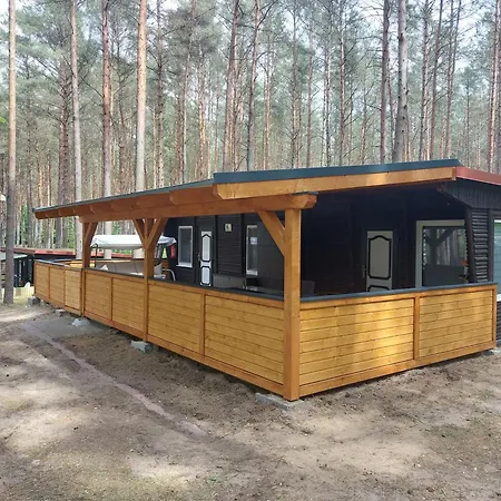 Im Wald Mecklenburgische Seenplatte Wesenberg