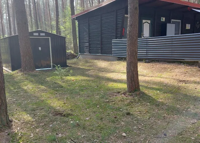 Im Wald Mecklenburgische Seenplatte Wesenberg