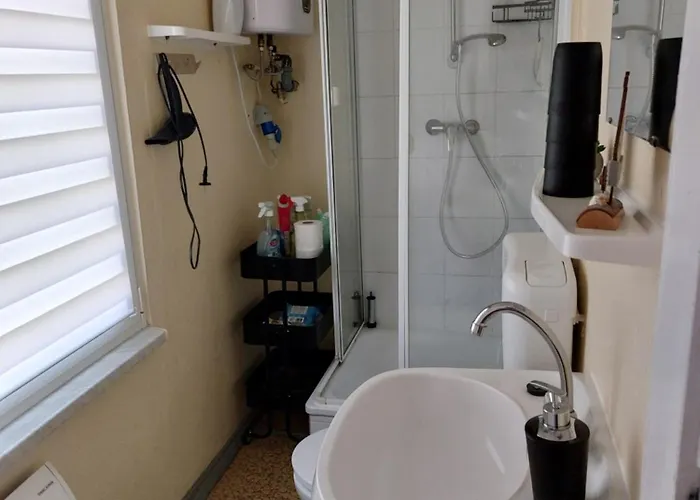 Im Wald Mecklenburgische Seenplatte Wesenberg