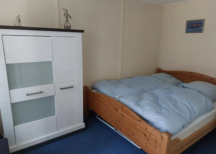 Im Wald Mecklenburgische Seenplatte * Wesenberg